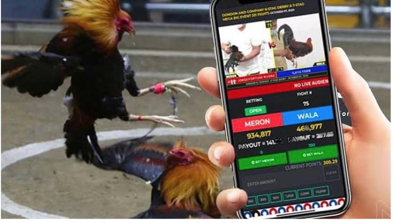 Đá Gà Online Có Bị Bắt Không? Sự Thật Không Phải Ai Cũng Biết 1 Đá Gà Online Có Bị Bắt Không? Sự Thật Không Phải Ai Cũng Biết